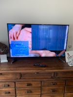 LED-TV Panasonic TX-49EXW604 Display defekt Nordrhein-Westfalen - Mönchengladbach Vorschau