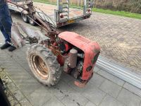 bungartz gartenfräse motorhacke bodenfräse schlepper traktor Nordrhein-Westfalen - Gronau (Westfalen) Vorschau