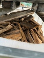 Anfeuerholz/Spreisel dünnes Holz Buche zu verkaufen Baden-Württemberg - Bermatingen Vorschau