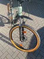 Focus E-Bike mit starken Bosch CX E-Motor 85 Nm. Niedersachsen - Ottenstein Vorschau