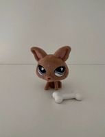 Littlest Pet Shop Spielfigur Hund Chihuahua #461 Sammelfigur LPS Hessen - Hanau Vorschau