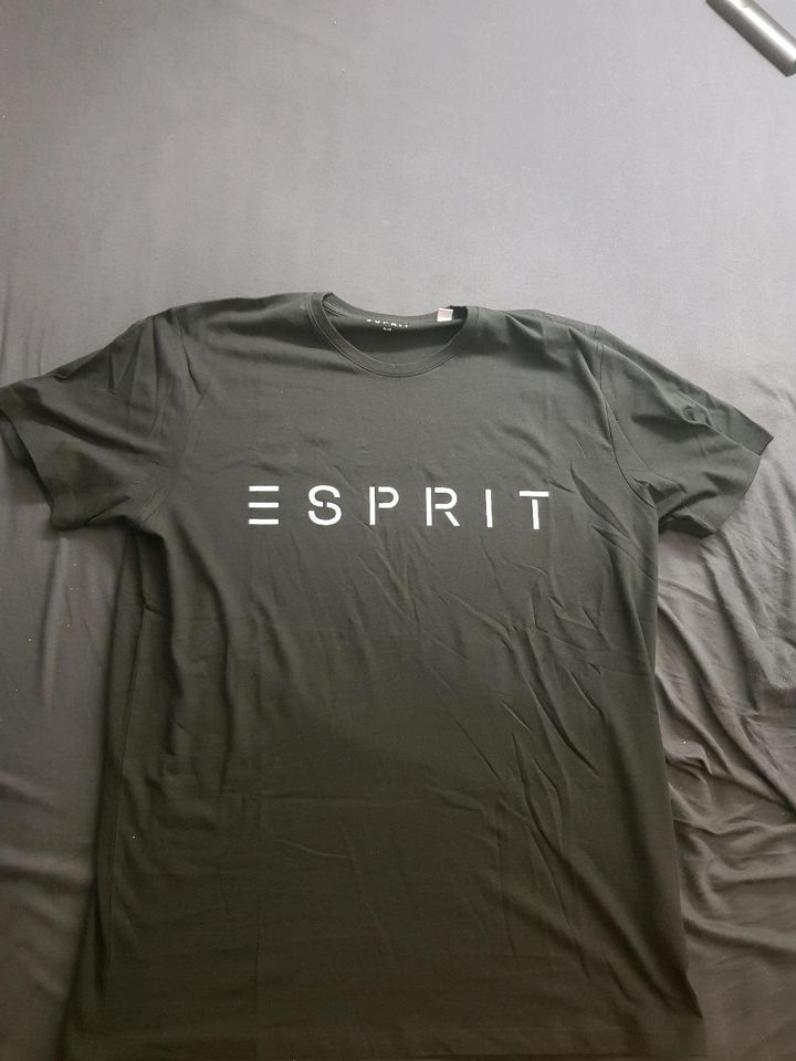 Original Esprit T-Shirt Schwarz XL Neu in Biebesheim