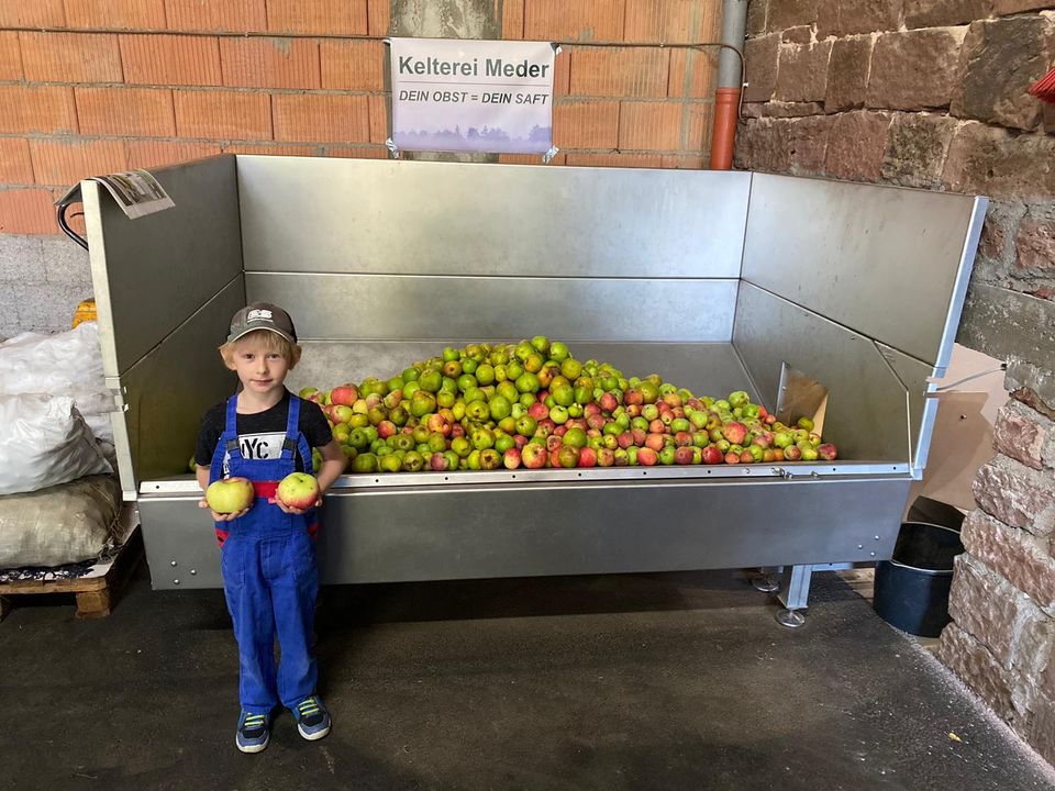 DirektSaft Apfelsaft Most Traubensaft Quittensaft Birne in Lohr (Main)