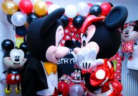 Minnie Mickey Maskottchen Kostüm mieten Kindergeburtstag Hessen - Groß-Gerau Vorschau