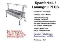 Vermiete Edelstahl Spanferkel / Lammgrill Brandenburg - Nauen Vorschau