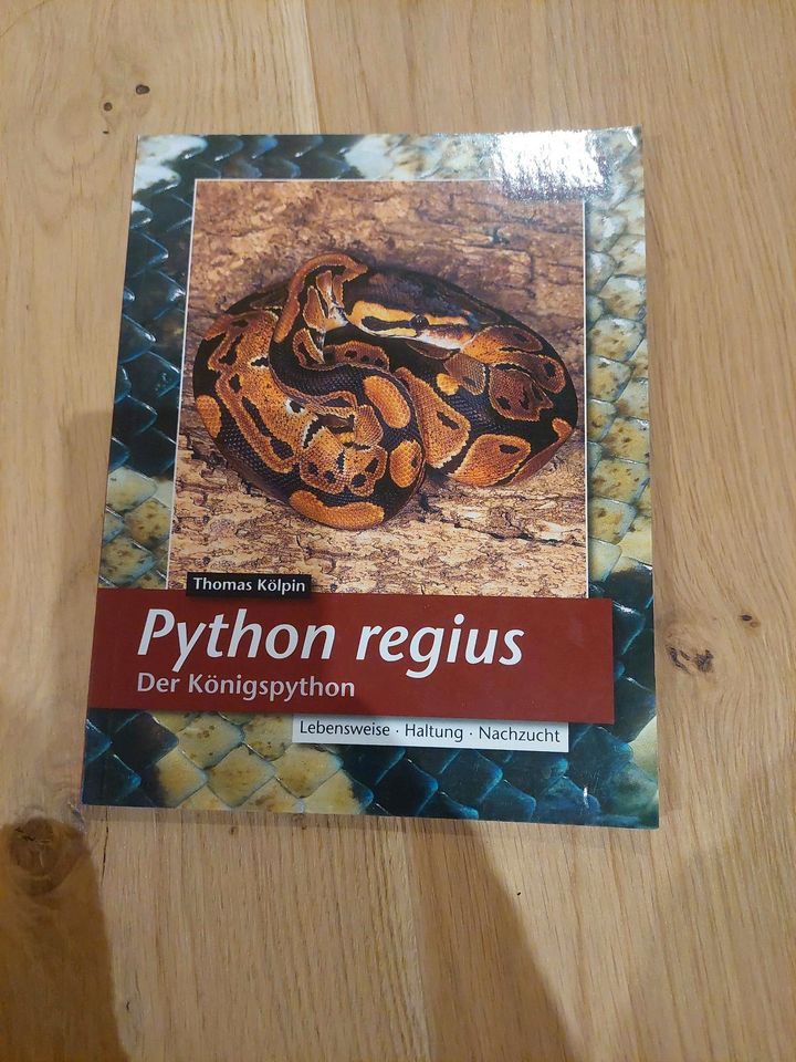 Python Regius Buch Königspython in Gunzenhausen