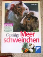 Gesellige Meerschweinchen kosmos Ratgeber Hessen - Gießen Vorschau