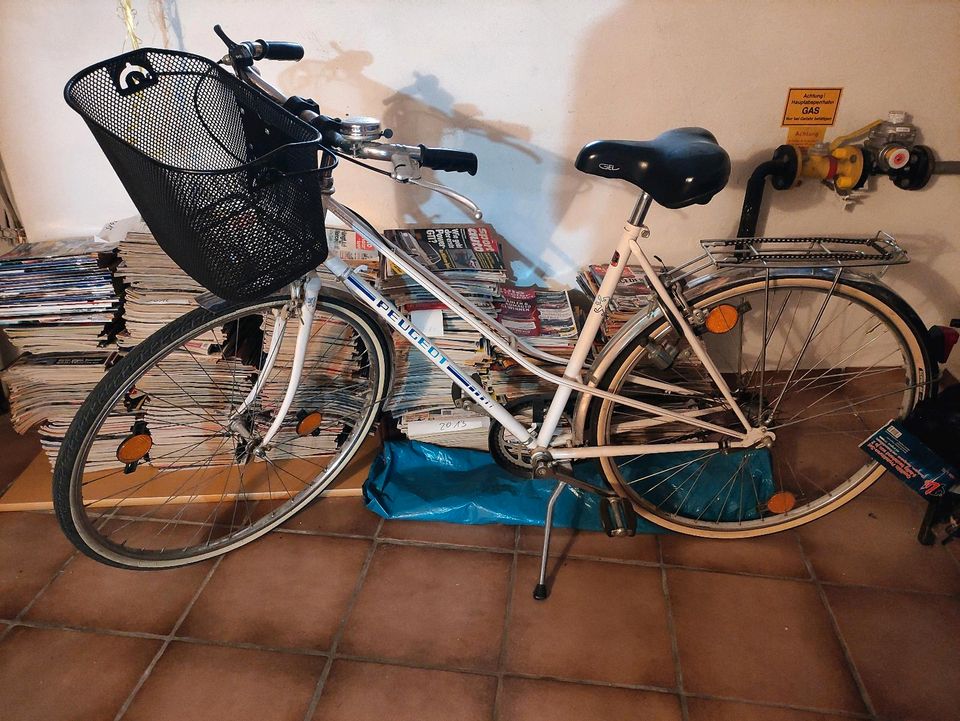 Peugeot Fahrrad in Elz