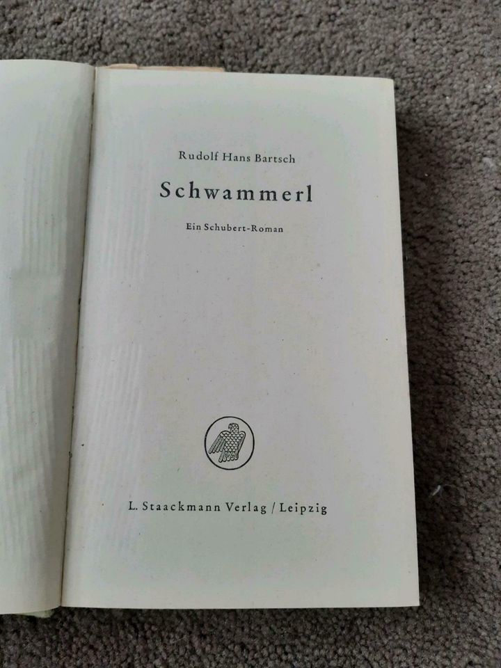 Schwammerl Ein Schubert-Roman Rudolf Hans Bartsch 23. Auflage in Coswig