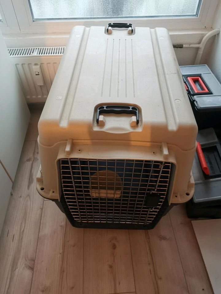 Transportbox, Hundebox Anione Größe M (bis ca. 25kg Hund) in Rosbach (v d Höhe)