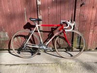 Rennrad Vintage Gazelle Olympia Nordrhein-Westfalen - Billerbeck Vorschau