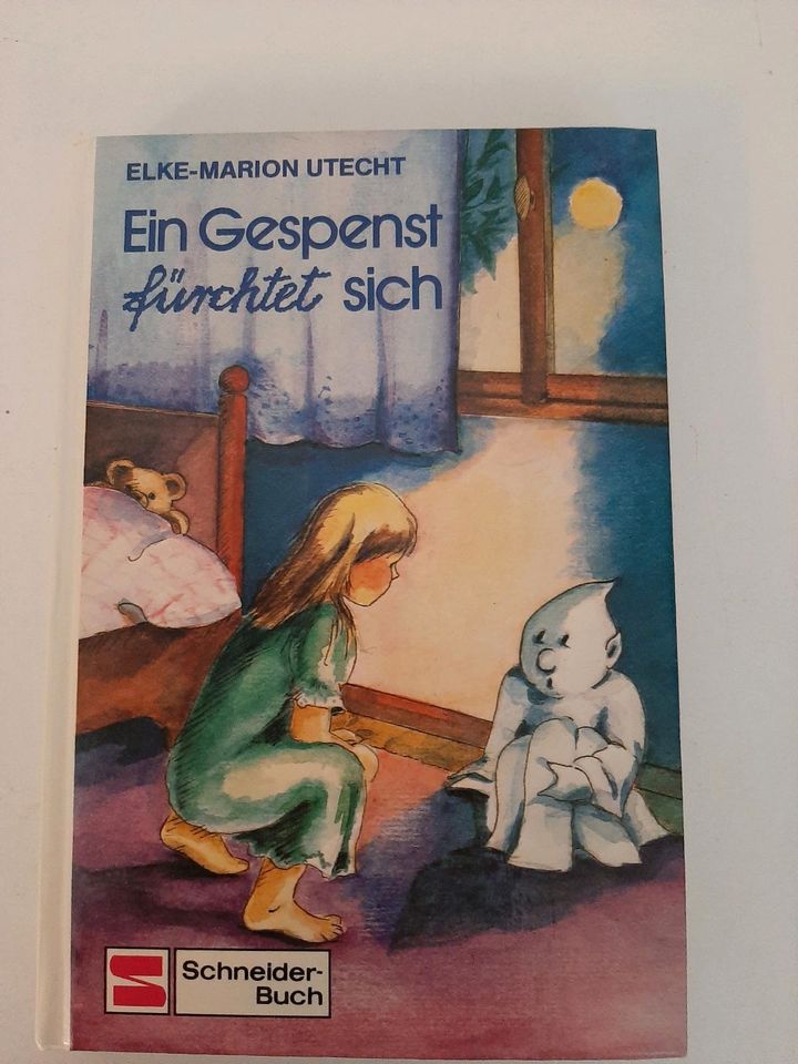 Buch Das kleine Gespenst fürchtet sich in Ravensburg