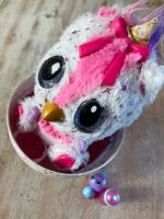 Hatchimals Spin Master RAR Berlin - Lichtenberg Vorschau