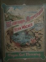 Wanderung am Meeresstrand- Hermann Wagner Hessen - Ranstadt Vorschau