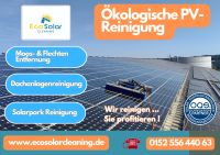 Photovoltaik Reinigung vom Profi, Flechtenentfernung PV Thüringen Bayern - Windischeschenbach Vorschau