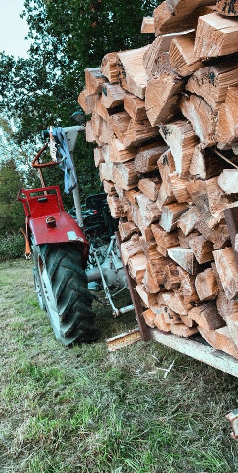 Brennholz Fichte/Buche in Engelskirchen