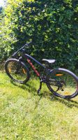 Mountainbike Scott Aspect 740 Granite Sachsen - Klingenthal Vorschau