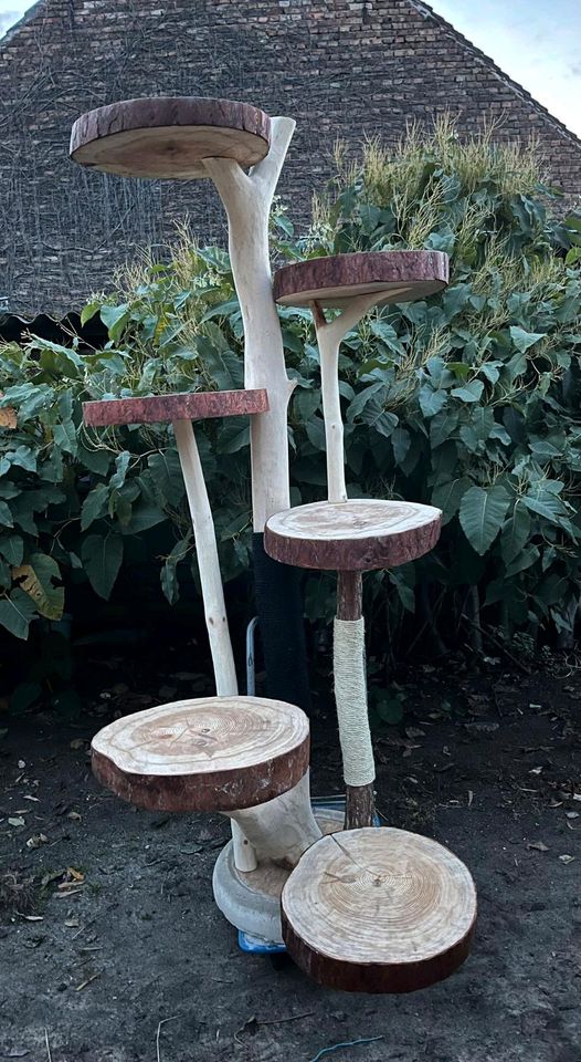 XXL- Kratzbaum / Naturkratzbaum in Thießen