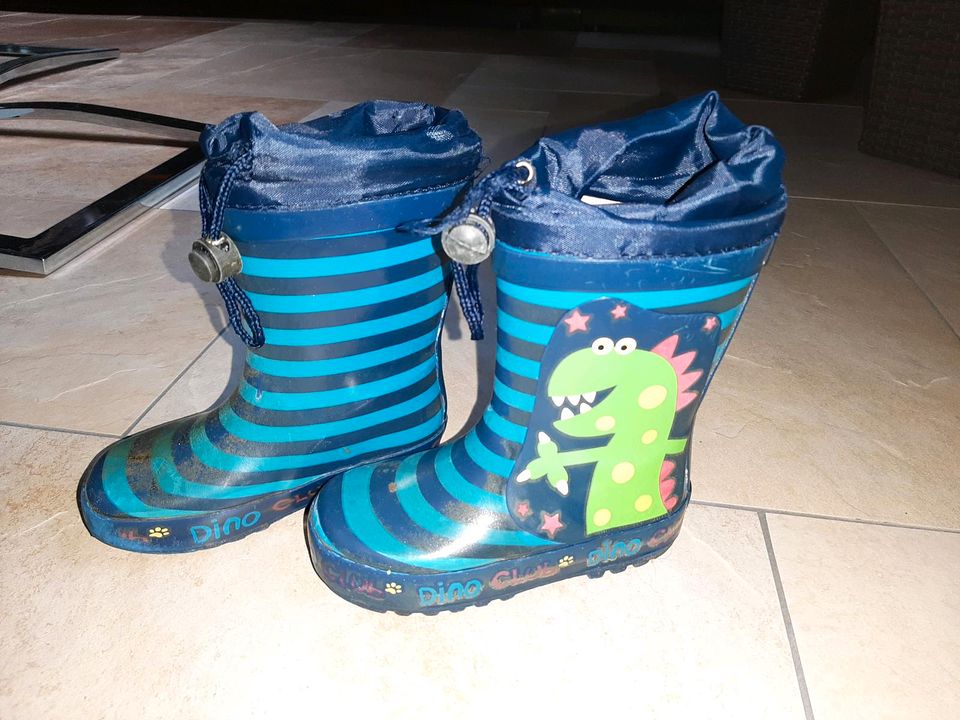 Gummistiefel Dino Größe 23 in Altmittweida