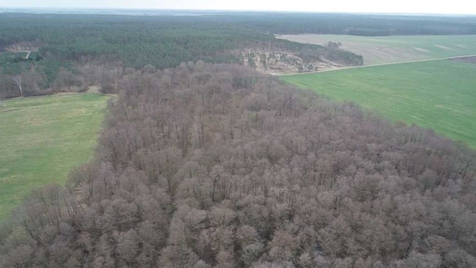 4 Flächen im Jerichower Land, Wald, Forst; SachsenAnhalt in Sachsen