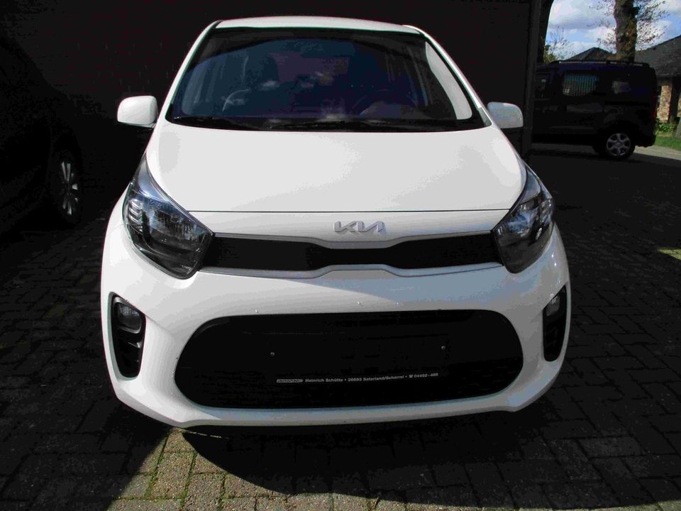 Kia Picanto 1.0 Concept (EURO 6d) - mit Garantie - in Saterland