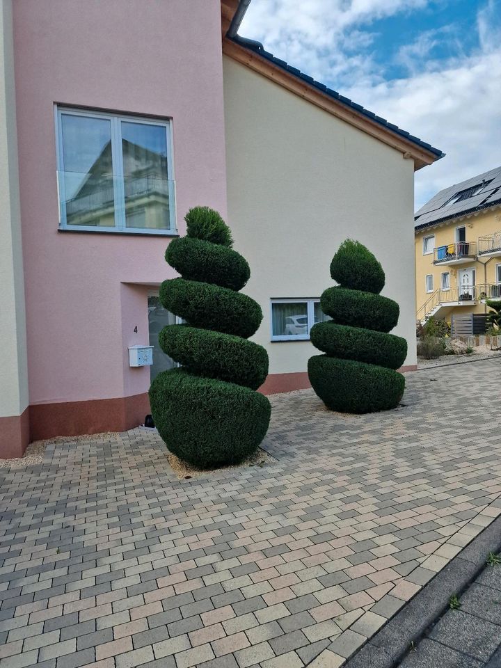 Baumfällung und Gartenpflege in Lahnstein