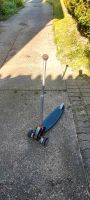 Roller Tretroller Skateboard Rheinland-Pfalz - Zweibrücken Vorschau