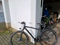 Specialized Crossover Expert Disc Größe L. Hessen - Baunatal Vorschau