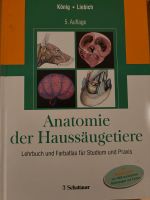 Anatomie der Haussäugetiere König/Liebich 5.Auflage Bayern - Altdorf Vorschau