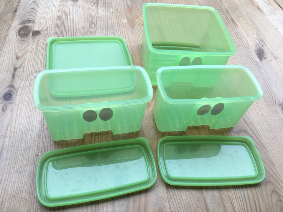 Tupperware Tupper Frischhaltedosen Prima Klima 3er-Set in Sulzbach-Rosenberg