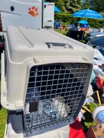 Hunde Transportbox M-L Baden-Württemberg - Teningen Vorschau