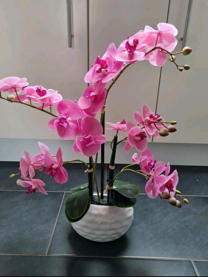 Künstliche Orchidee, üppig und sehr echt in Gelsenkirchen