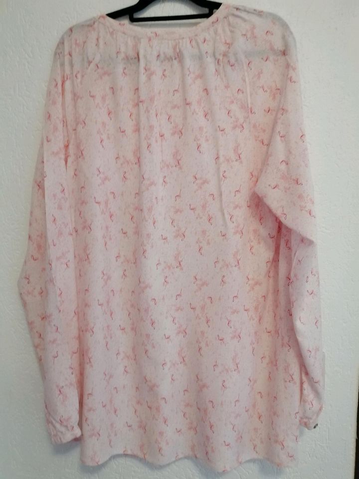 Absolut süsse Bluse, 48/50 wie Neu in Neuss