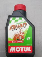 Motul Quad Öl 10W40 Sachsen-Anhalt - Stendal Vorschau