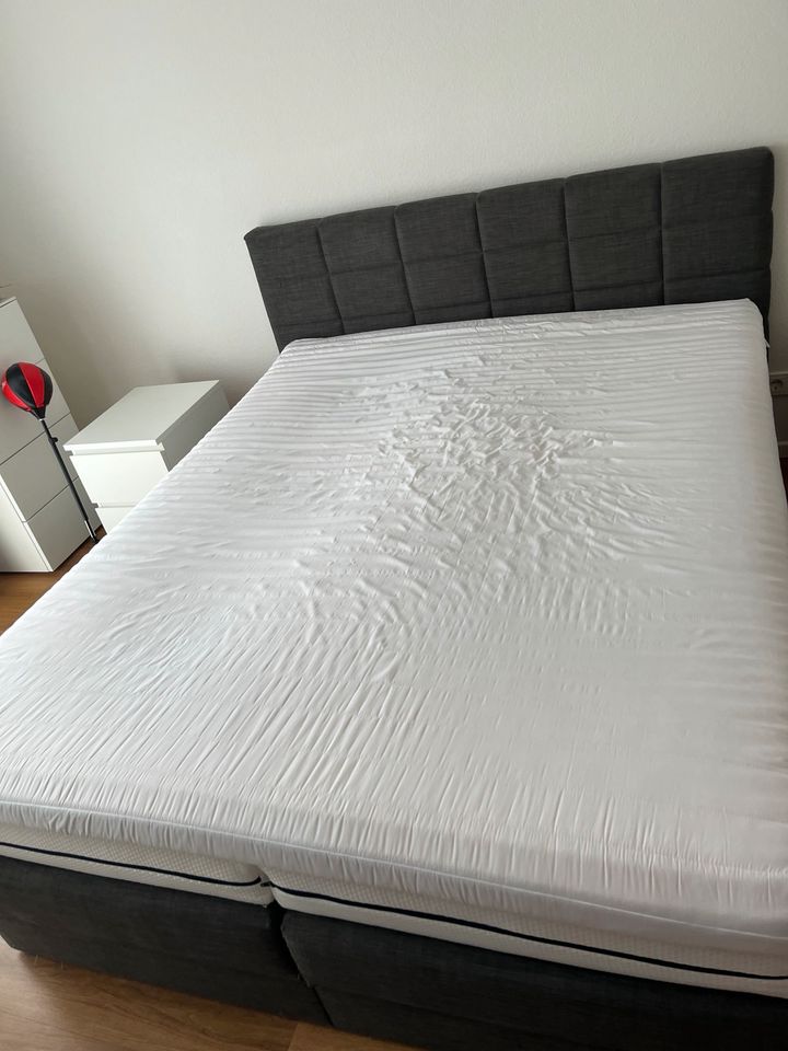 Boxspringbett 160x200 cm in Brühl