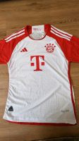 FC Bayern Trikot Authentic Größe S Hessen - Offenbach Vorschau