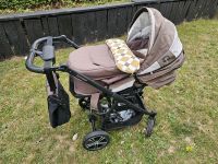 Kinderwagen Gesslein F4 Baden-Württemberg - Eppingen Vorschau