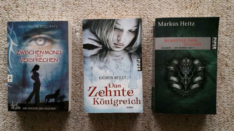 Fantasybücher für Jugendliche, K. Wesley, M. Heitz, S. Delany in Calberlah