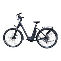 E-Bike Manufaktur DR31:  Schalte dich durch die Schaltstufen Altona - Hamburg Blankenese Vorschau