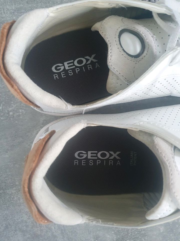 Geox Sneaker in Haar