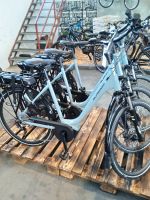 E-Bike Bosch 500 W NEU Sonderpreis Posten Niedersachsen - Ostrhauderfehn Vorschau