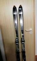 Salomon Ski 1,60m Rheinland-Pfalz - Willingen Vorschau