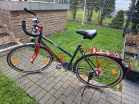 Kettler Trekking Fahrrad Nordrhein-Westfalen - Werl Vorschau