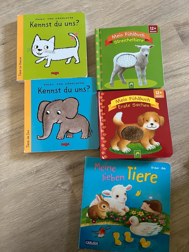 Verschiedene Bilderbücher, Kinderbücher in Essen