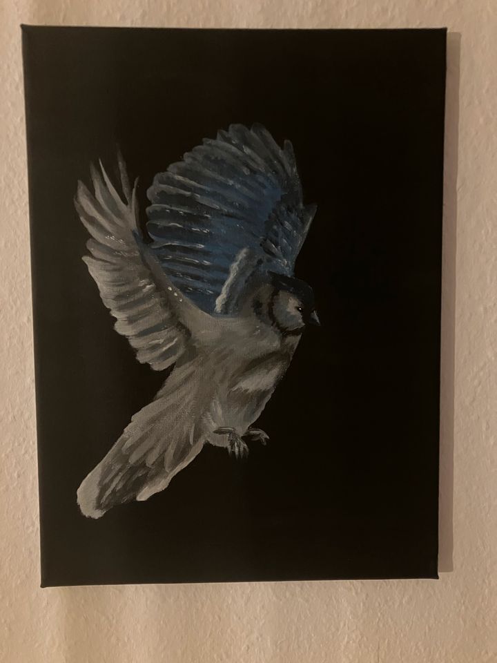 Aphelocoma Vogel; Acryl Bild auf Leinwand in Rhauderfehn