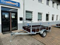 PKW Anhänger Kastenanhänger Tieflader 257x131x42cm 750kg Robust Rheinland-Pfalz - Monzingen Vorschau