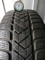 2x 215 60 R16 95H Pirelli Sottozero 3 Seal Winterreifen Nordrhein-Westfalen - Detmold Vorschau