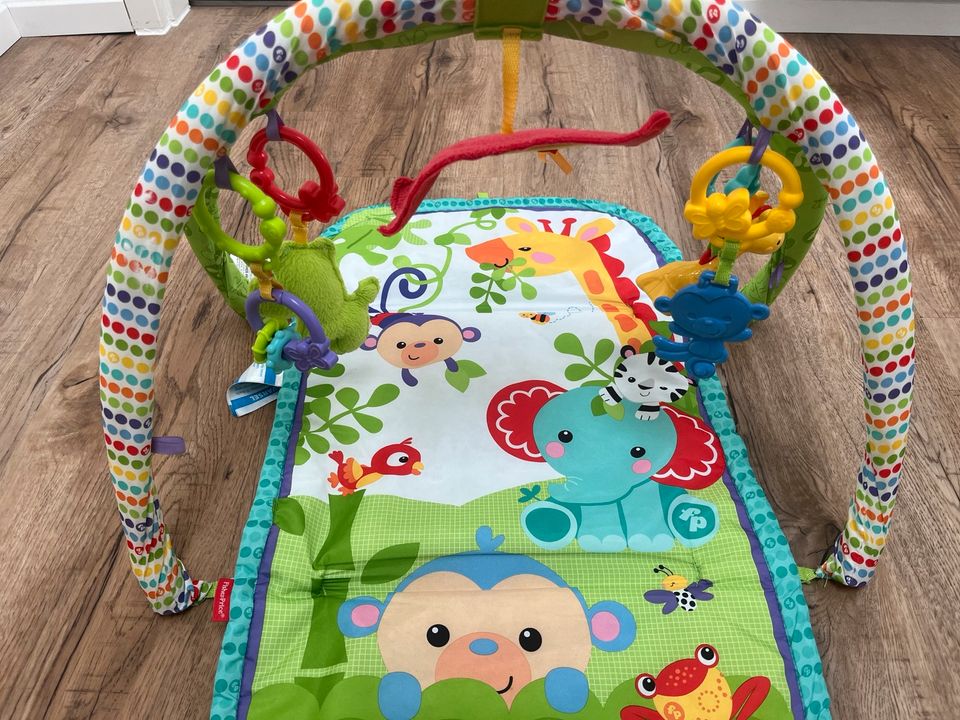 Baby Spielbogen, Spieldecke Fisher/Price in Much