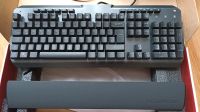 PC Tastatur Lioncast LK 300 RGB Rheinland-Pfalz - Ellerstadt Vorschau