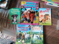 Mädchen Kinder Pferde Bücher Lesen Rheinland-Pfalz - Feilbingert Vorschau